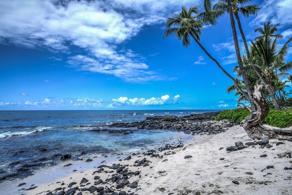 Newly Upgraded 1Br Unit Near Beach Max Of 5 Guests Kailua-Kona Zewnętrze zdjęcie