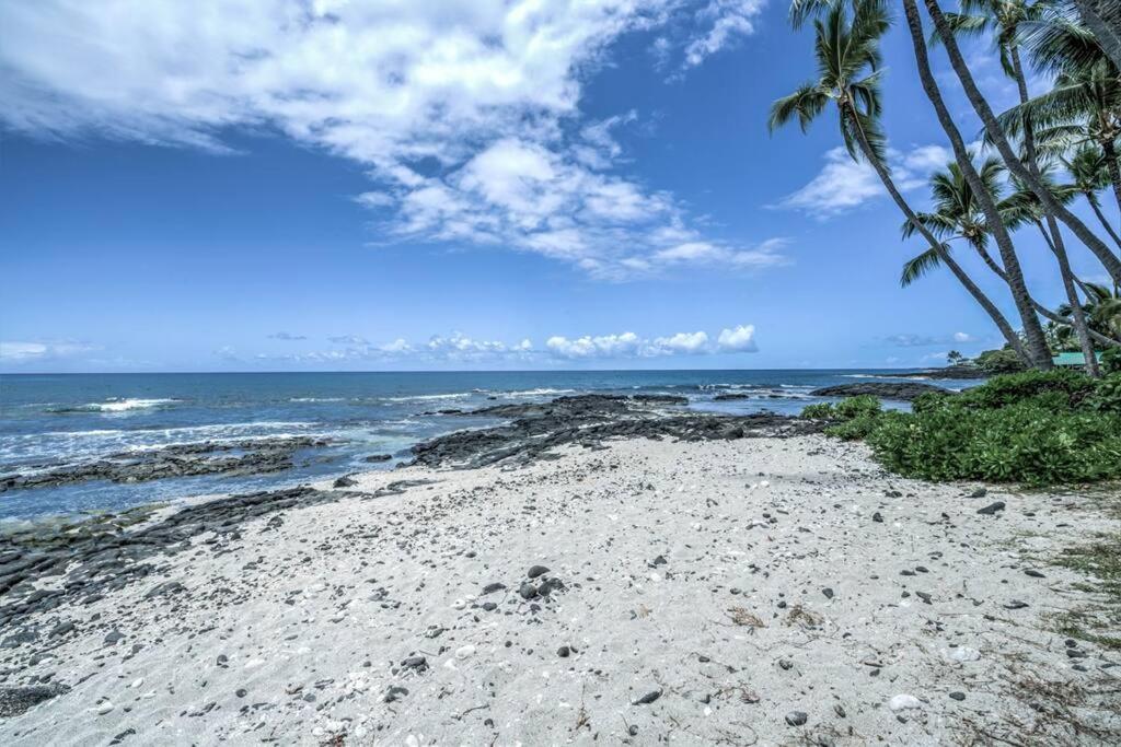 Newly Upgraded 1Br Unit Near Beach Max Of 5 Guests Kailua-Kona Zewnętrze zdjęcie