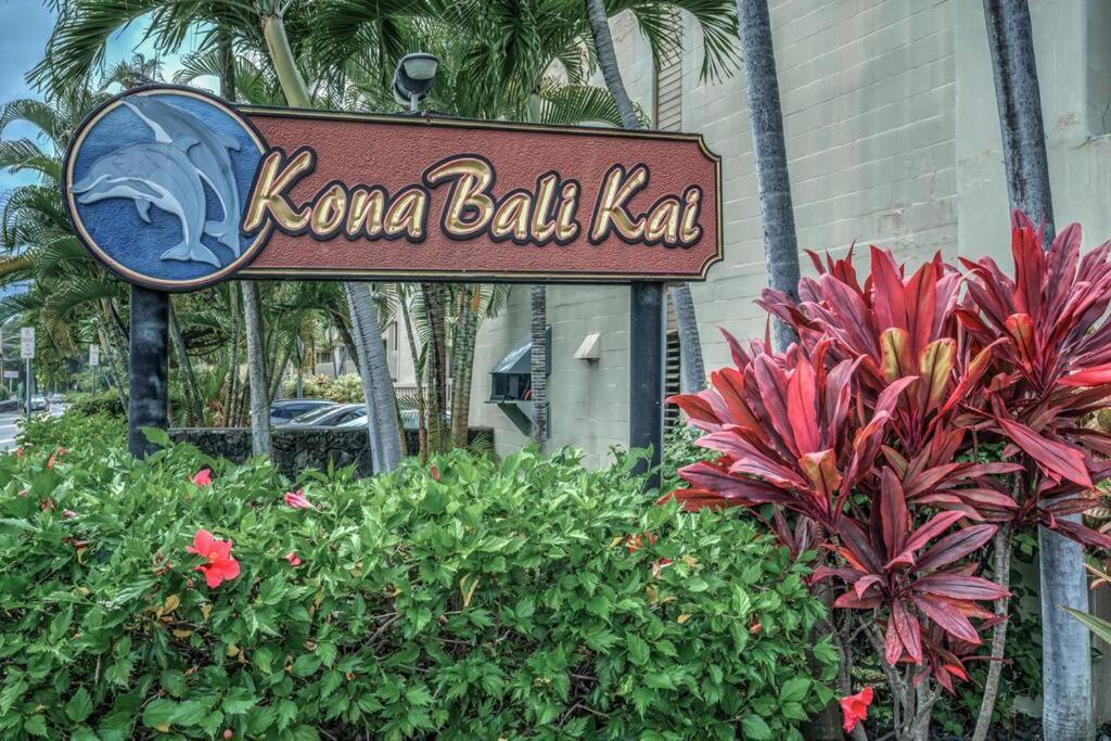 Newly Upgraded 1Br Unit Near Beach Max Of 5 Guests Kailua-Kona Zewnętrze zdjęcie
