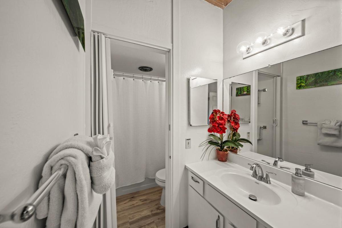 Newly Upgraded 1Br Unit Near Beach Max Of 5 Guests Kailua-Kona Zewnętrze zdjęcie